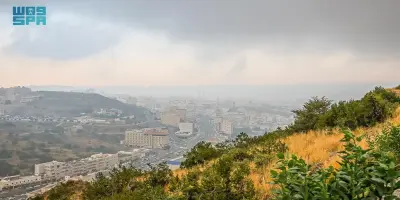 Al-Baha Transforms into a Verdant Paradise After Seasonal Rains